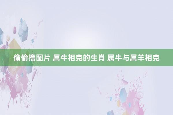 偷偷撸图片 属牛相克的生肖 属牛与属羊相克