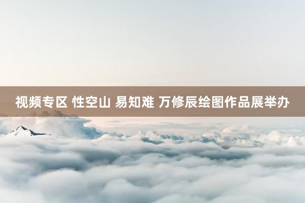 视频专区 性空山 易知难 万修辰绘图作品展举办